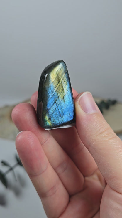 High Quality Labradorit Freiform 🌈 EQ4