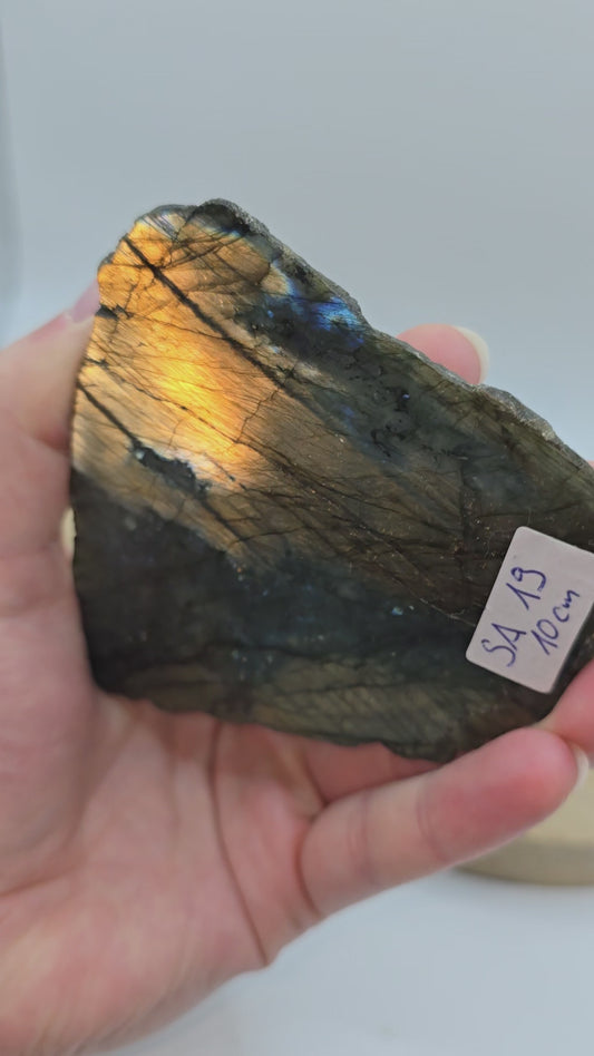 Labradorit Scheibe 🌈 SA19