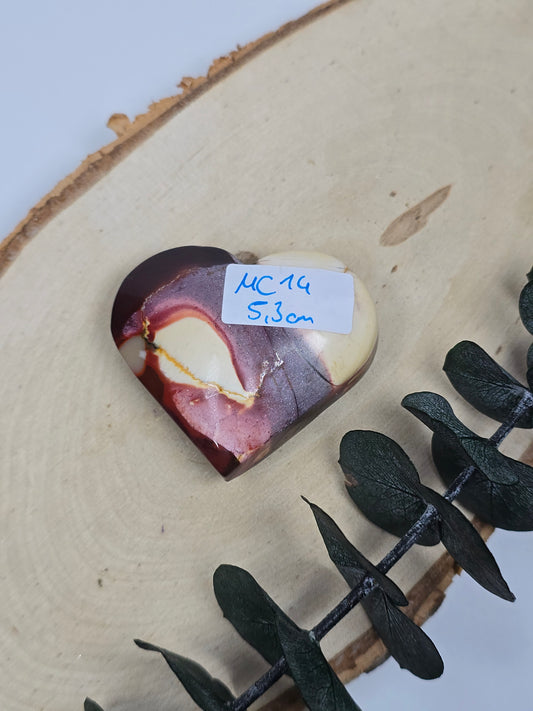 Mookait Herz 🍁 MC14