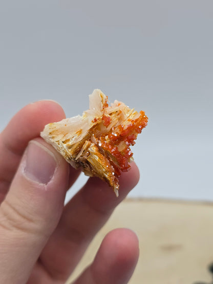 Vanadinit auf Baryt aus Marokko 🔥 7 – 20€