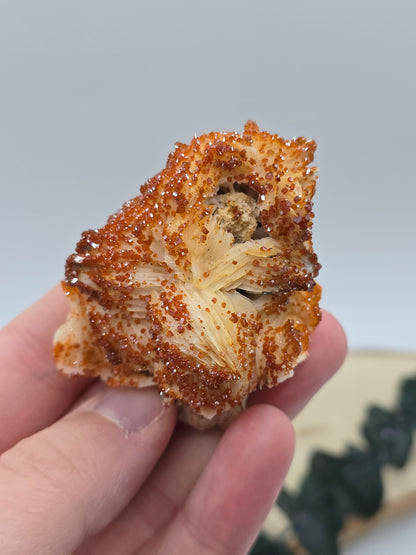 Vanadinit auf Baryt aus Marokko 🔥 21 – 68€