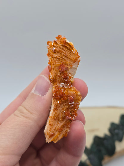 Vanadinit auf Baryt aus Marokko 🔥 21 – 68€