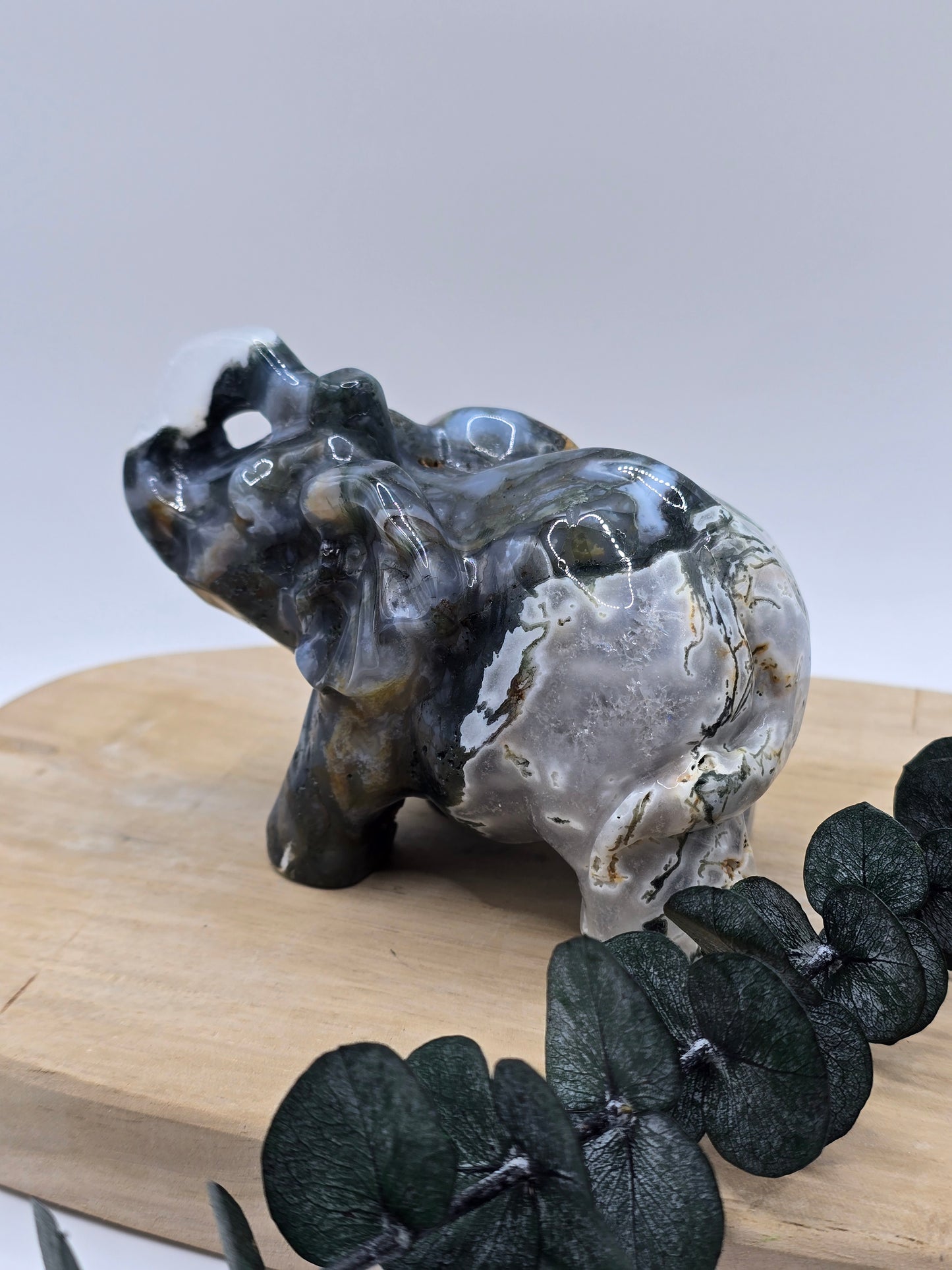 Moosachat Elefant 🍃 BP109