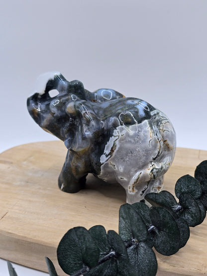 Moosachat Elefant 🍃 BP109