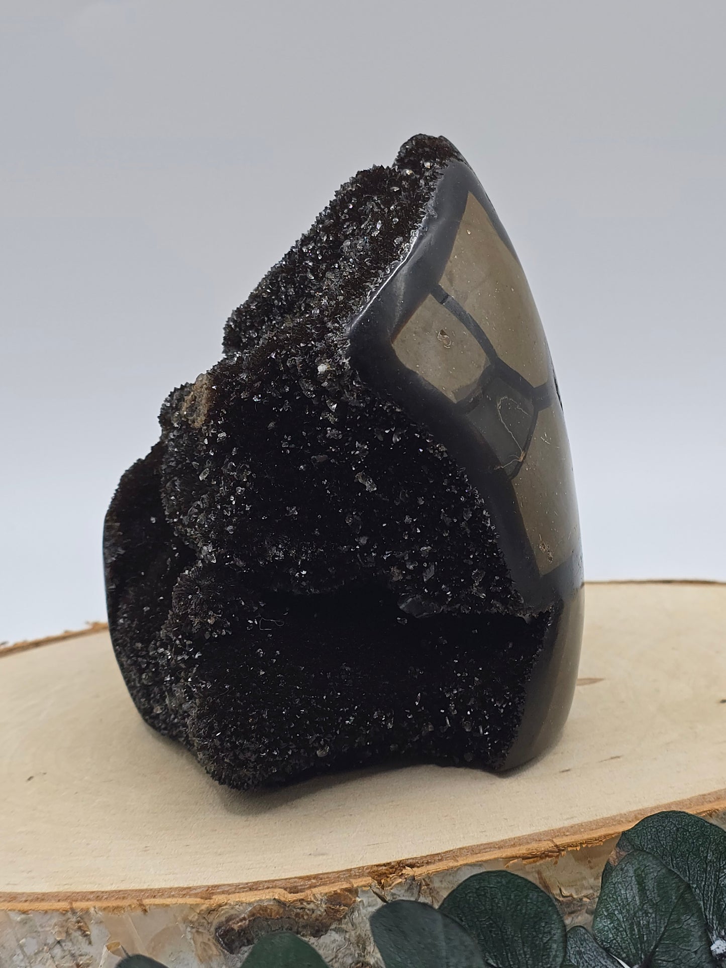 Septarie Freiform 🤎 KA81