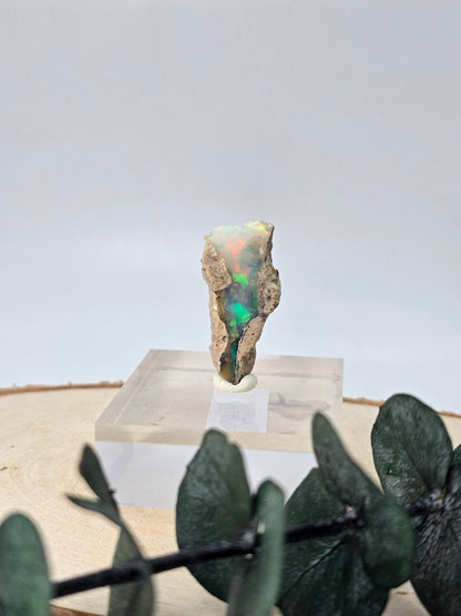 Welo Opal Roh 🌈 OP32