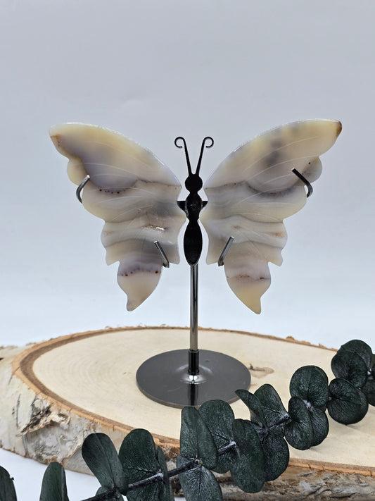 Achat Schmetterling 🦋 Nr.46