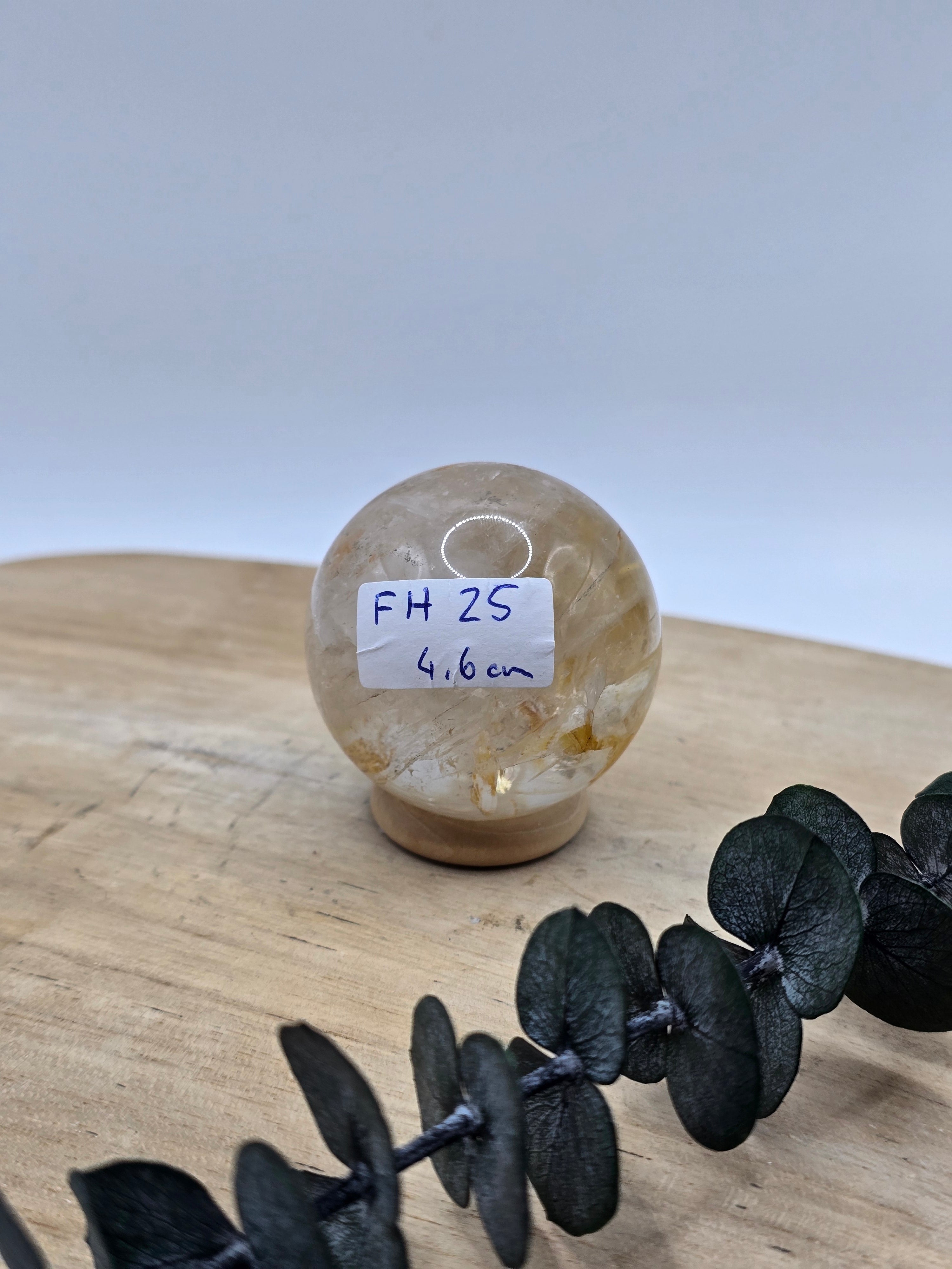 Golden Healer Kugel 💛 FH25