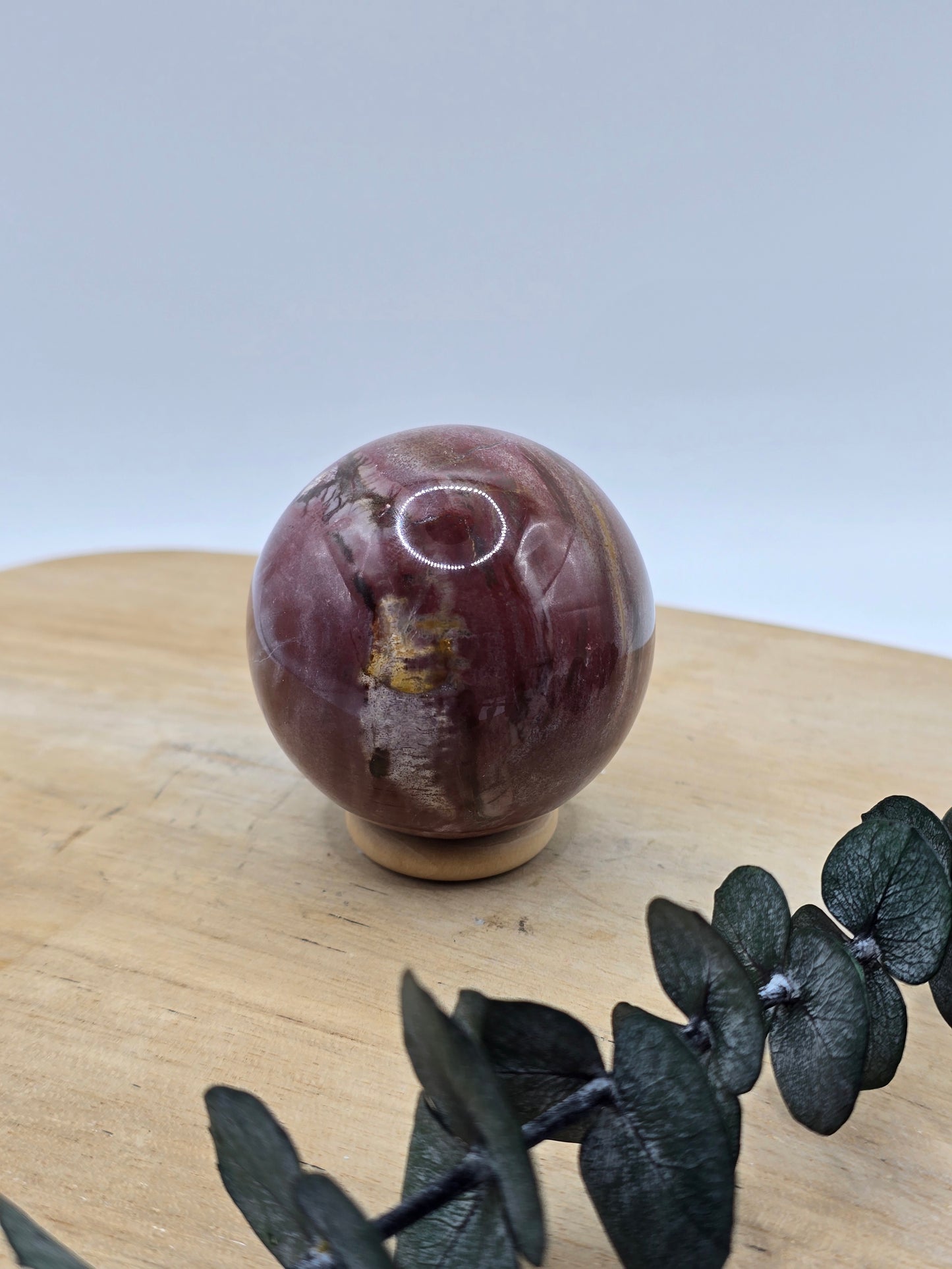 Versteinertes Holz Kugel 🪵 VH23