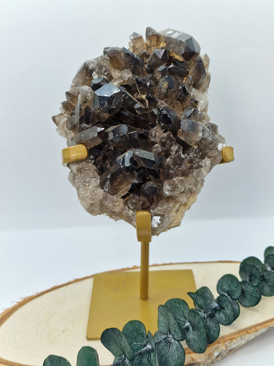 Rauchquarz Cluster auf Stand 🤎 RH91