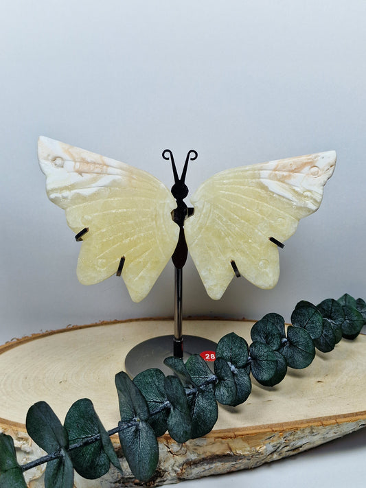 Orangencalcit Schmetterling 🦋 28