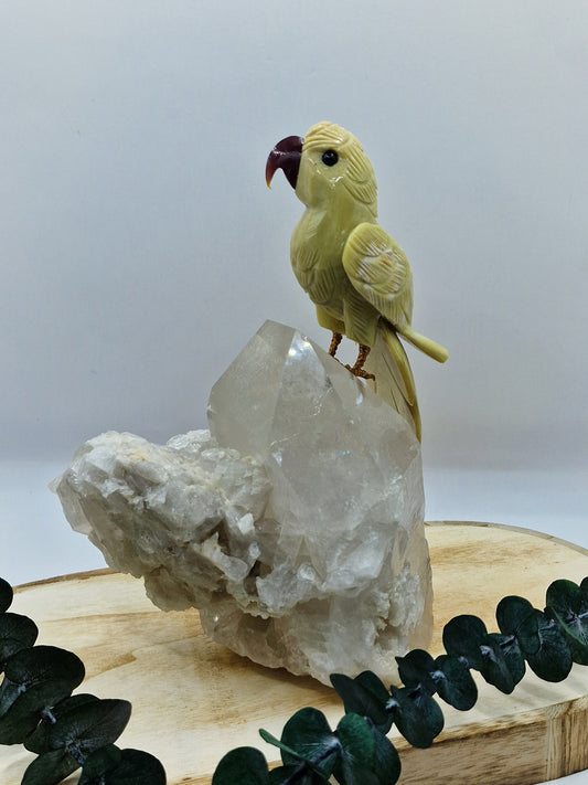 Papagei auf Bergkristall 🦜 VC154