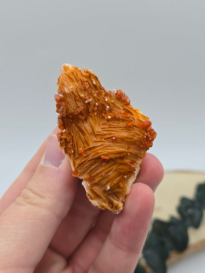 Vanadinit auf Baryt aus Marokko 🔥 21 – 68€