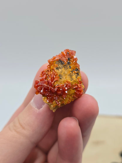 Vanadinit auf Baryt aus Marokko 🔥 7 – 20€