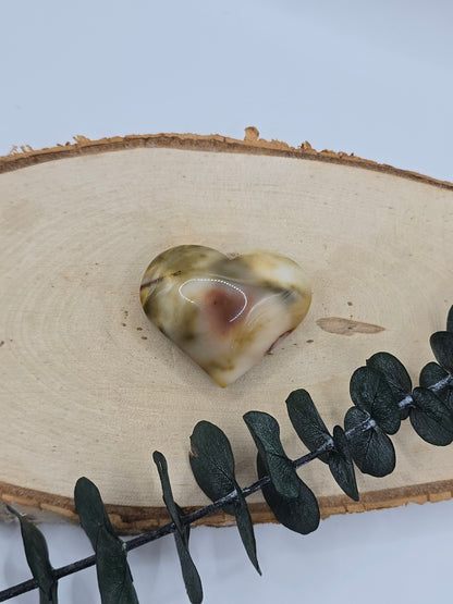 Mookait Herz 🍁 MF12