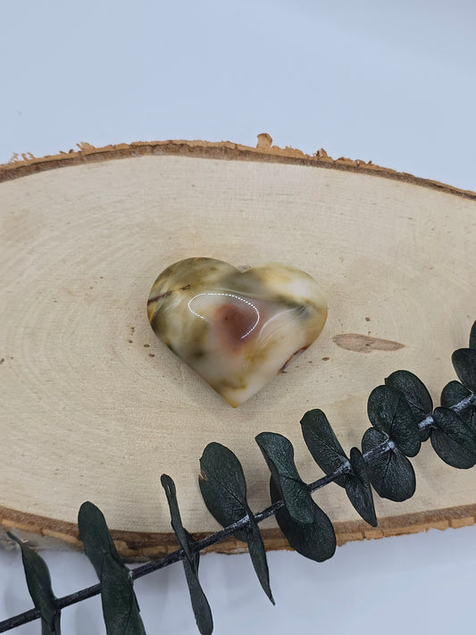 Mookait Herz 🍁 MF12