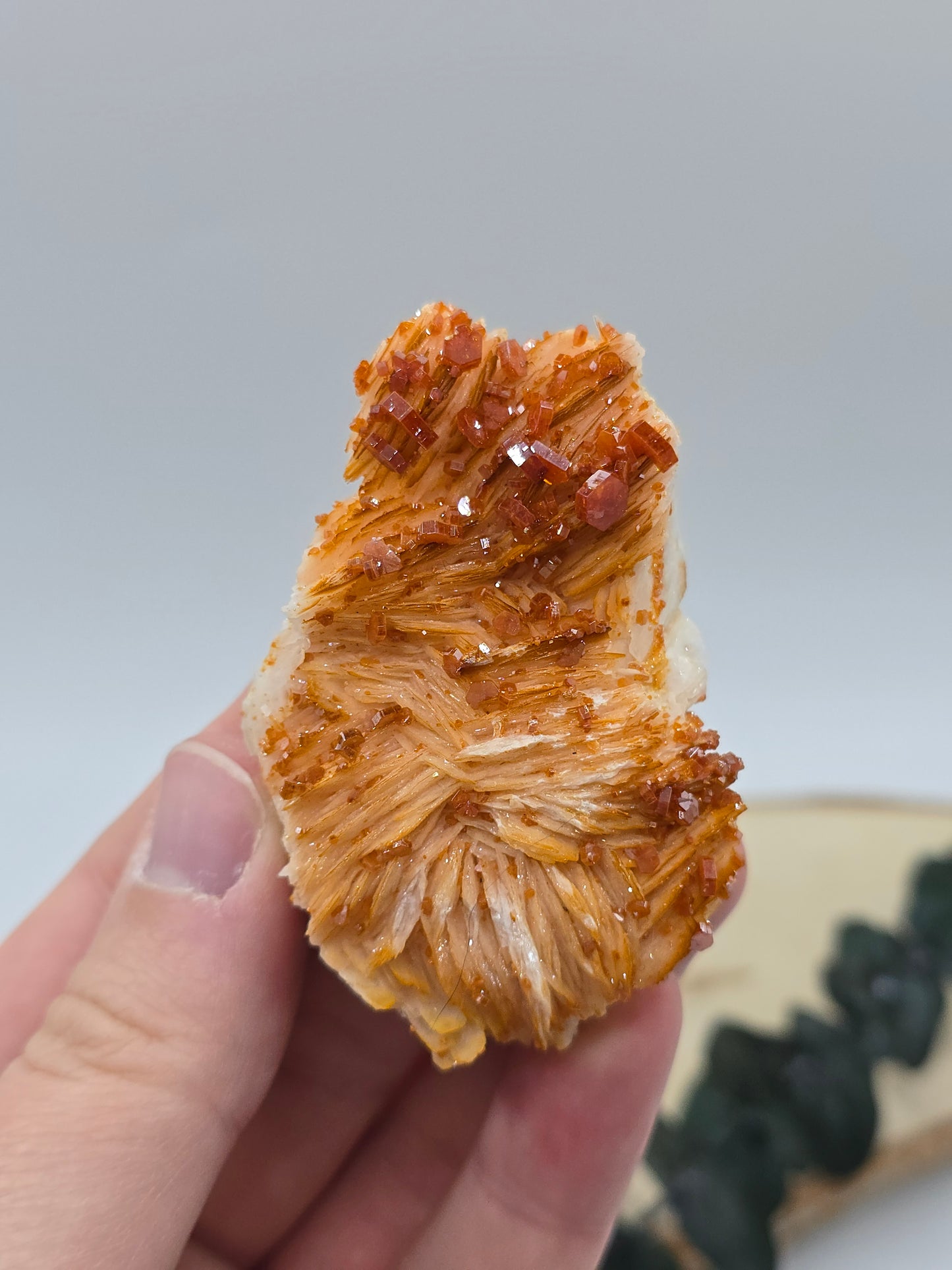 Vanadinit auf Baryt aus Marokko 🔥 21 – 68€