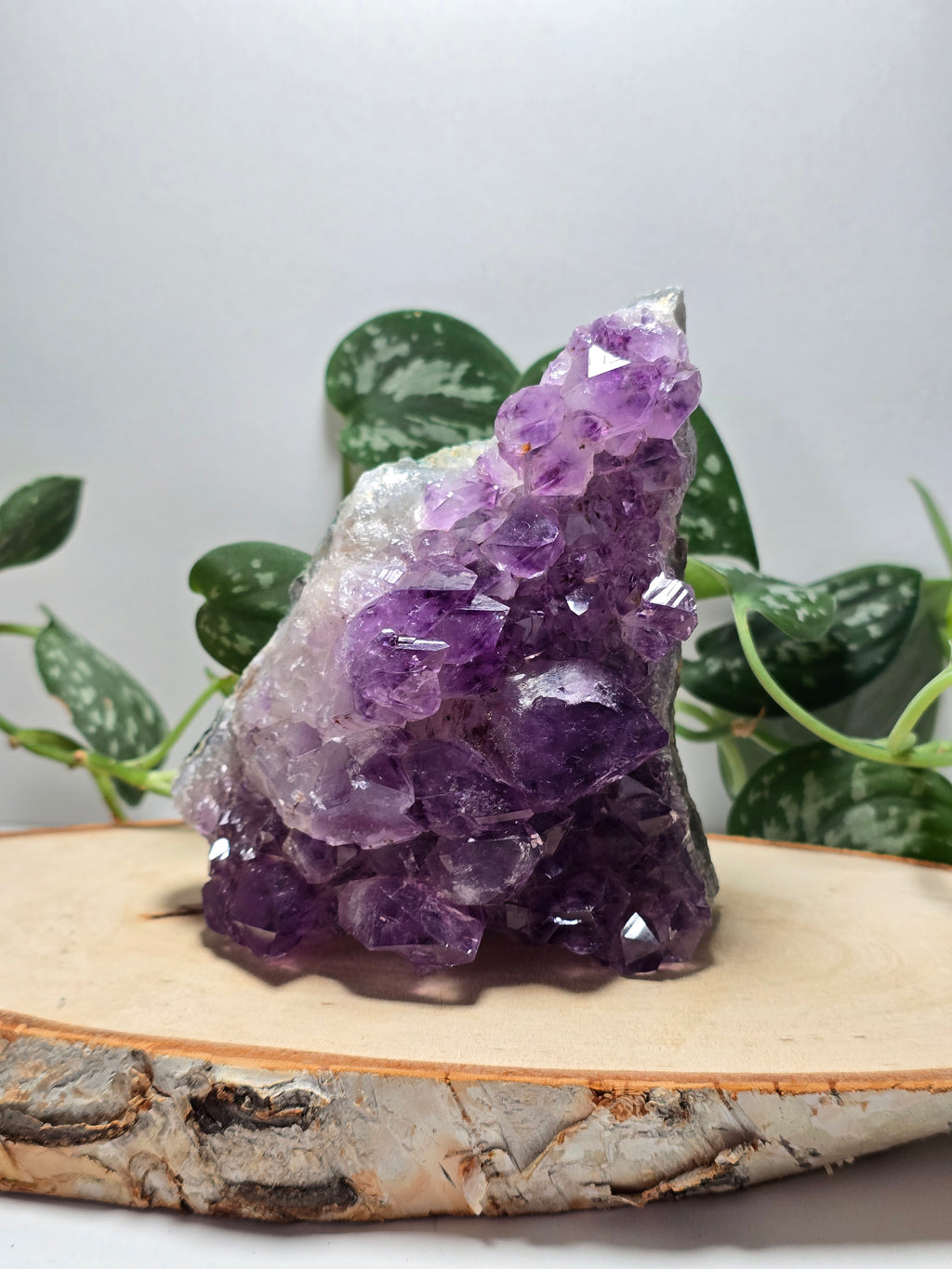 Amethyst Cutbases 💜