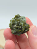 Epidot 💚 EL4