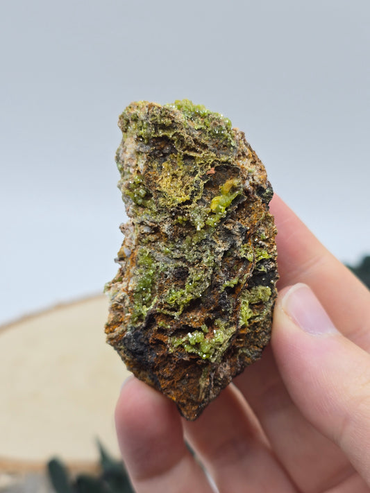 Pyromorphit 💚 PI13