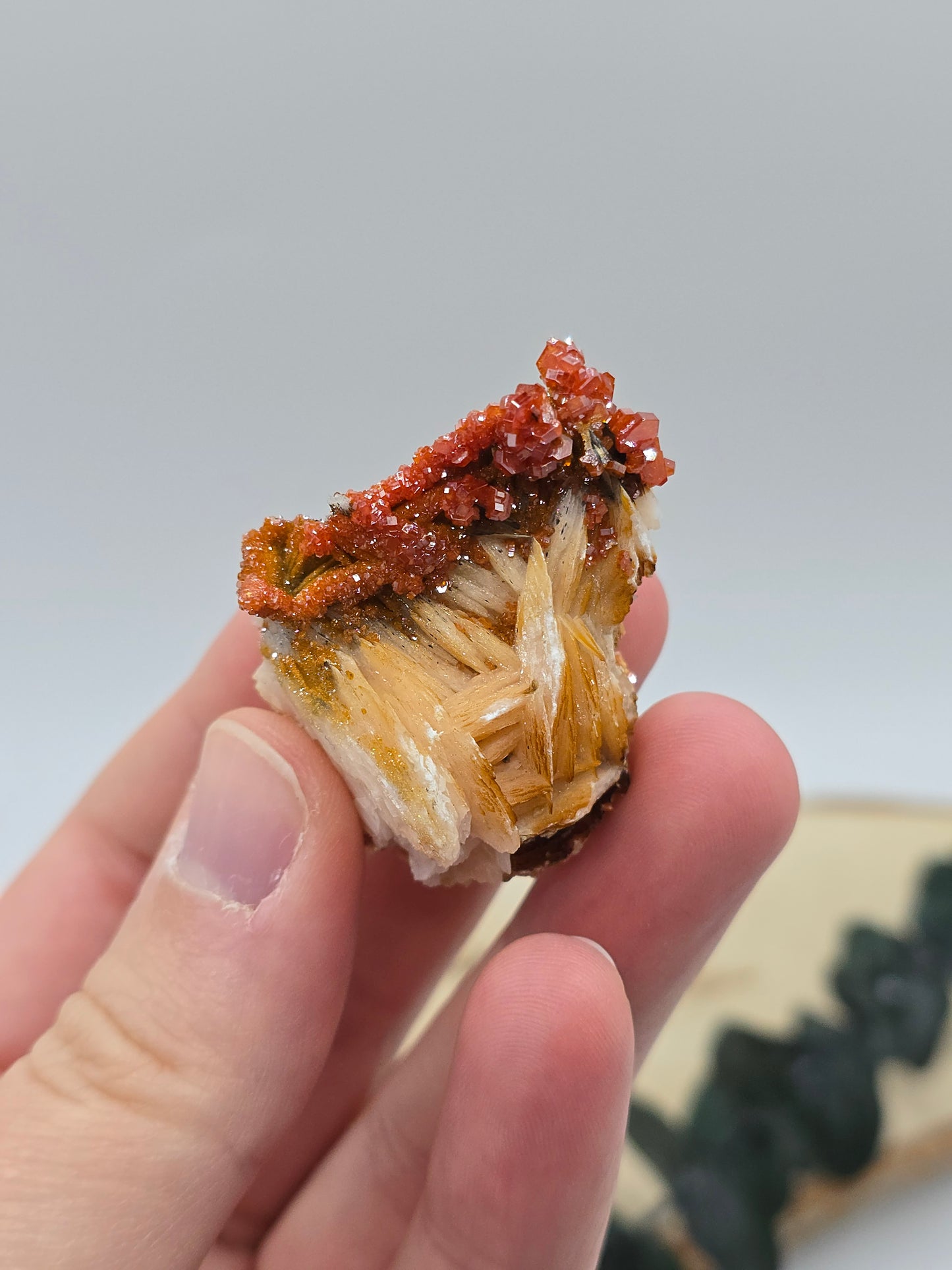 Vanadinit auf Baryt aus Marokko 🔥 21 – 68€