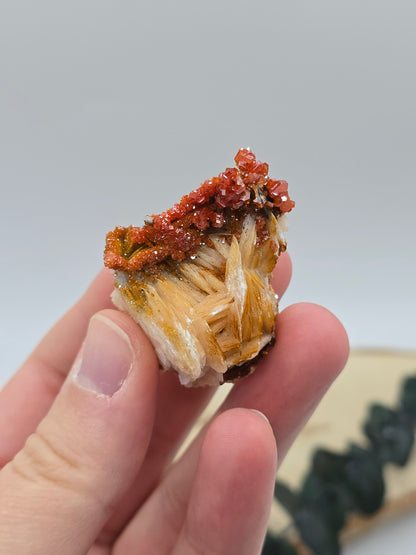 Vanadinit auf Baryt aus Marokko 🔥 21 – 68€