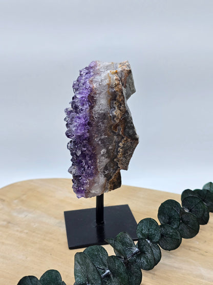 Amethyst auf Stand 💜 IH35