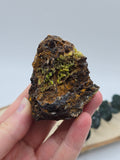 Pyromorphit 💚 PL31