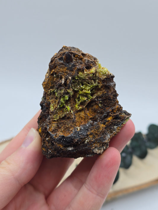 Pyromorphit 💚 PL31