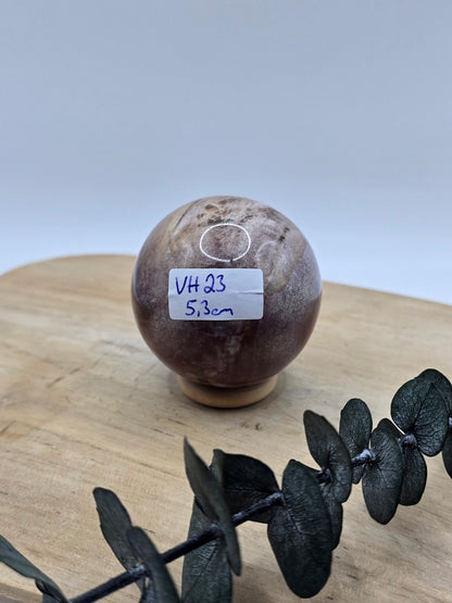 Versteinertes Holz Kugel 🪵 VH23