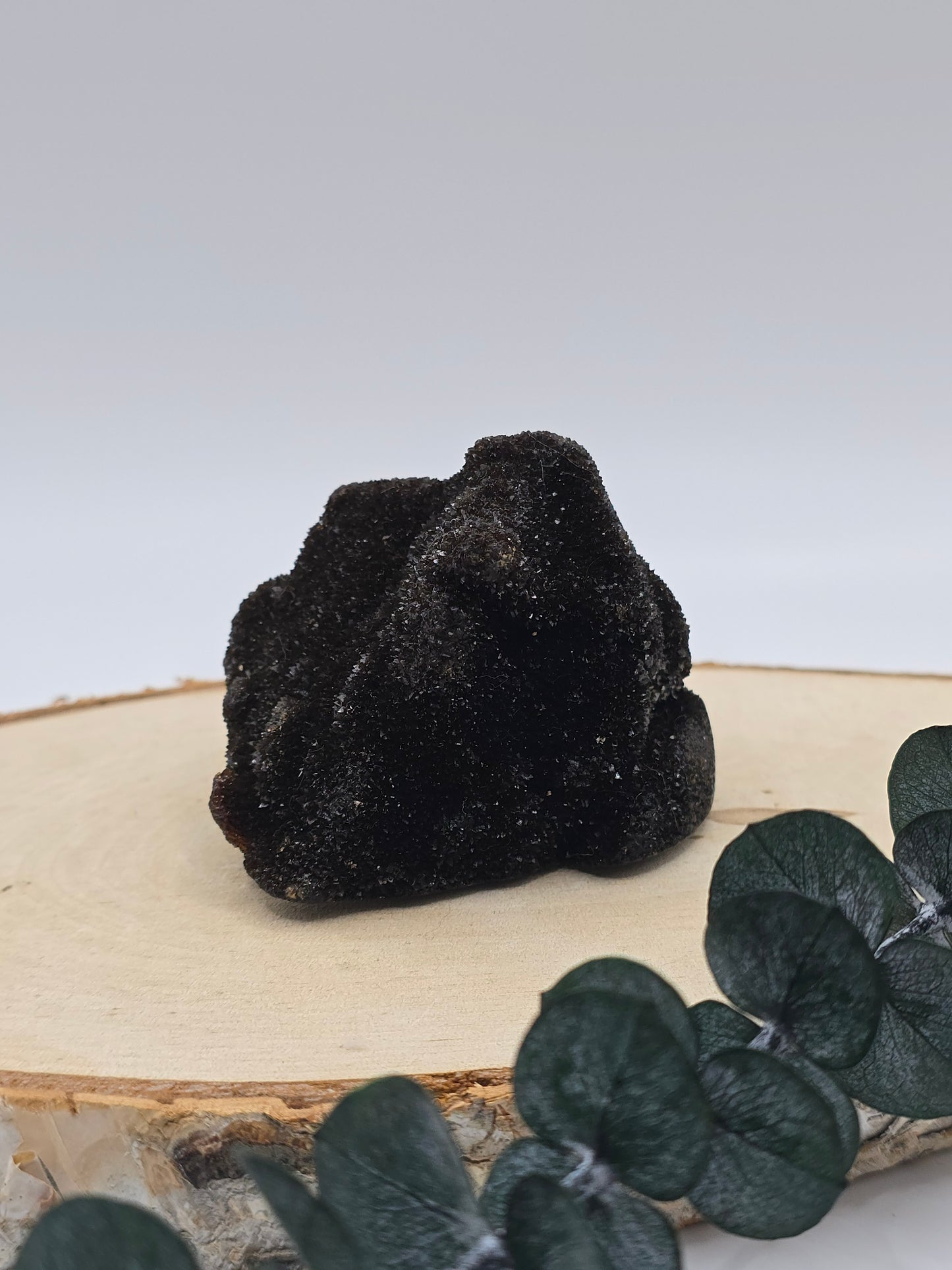 Septarie Freiform 🤎 LZ16