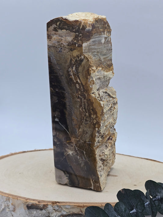 Versteinertes Holz 🌳 VL70