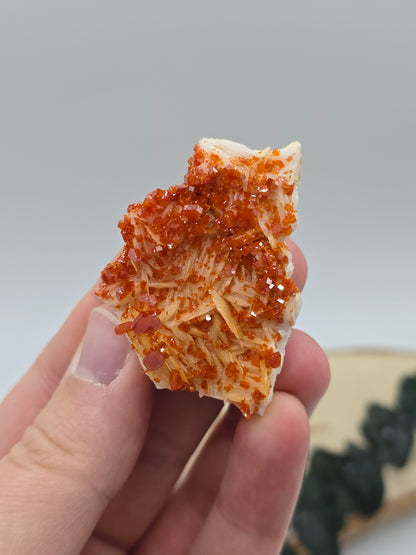 Vanadinit auf Baryt aus Marokko 🔥 21 – 68€