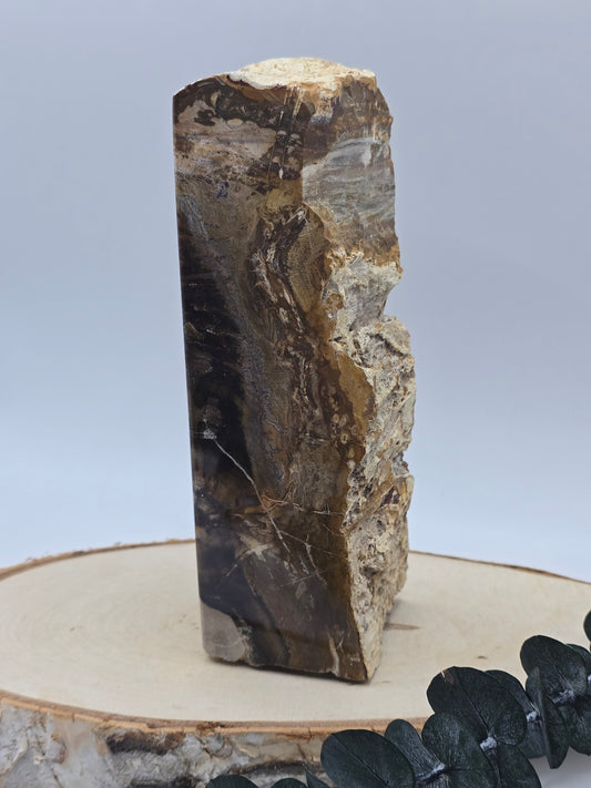 Versteinertes Holz 🌳 VL70