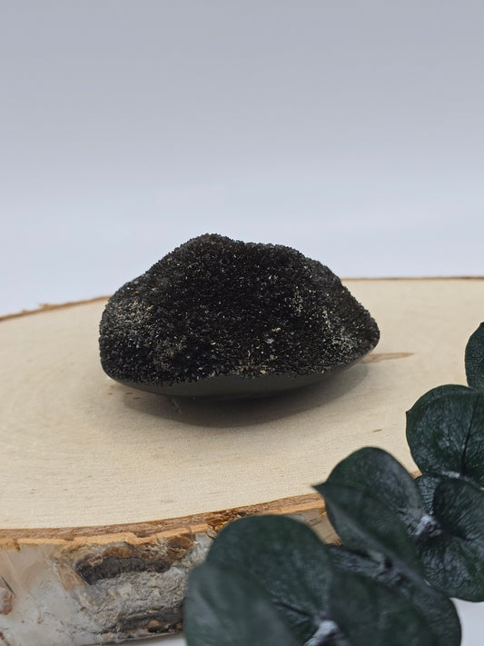 Septarie Freiform 🤎 LO14