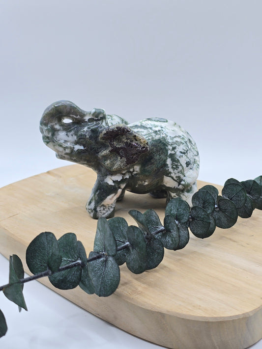 Moosachat Elefant 🍃 BQ86