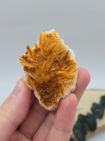 Vanadinit auf Baryt aus Marokko 🔥 21 – 68€