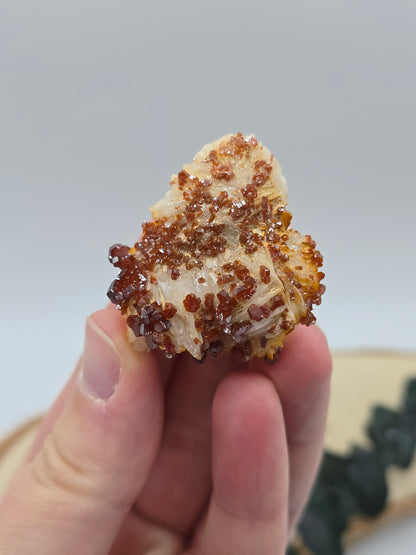 Vanadinit auf Baryt aus Marokko 🔥 21 – 68€