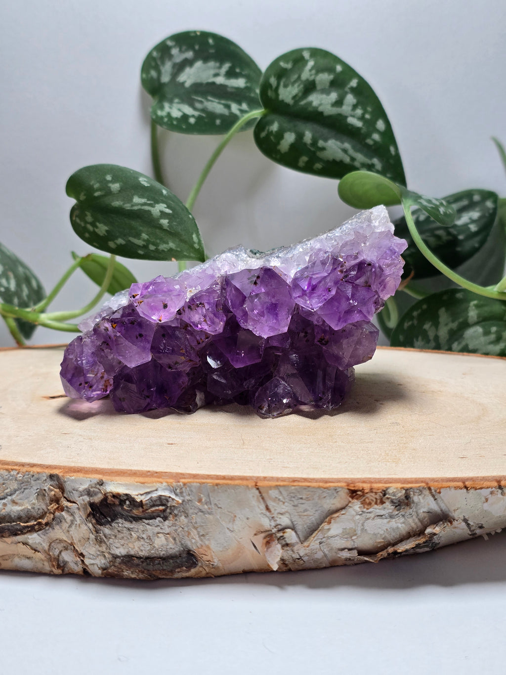 Amethyst Cutbases 💜
