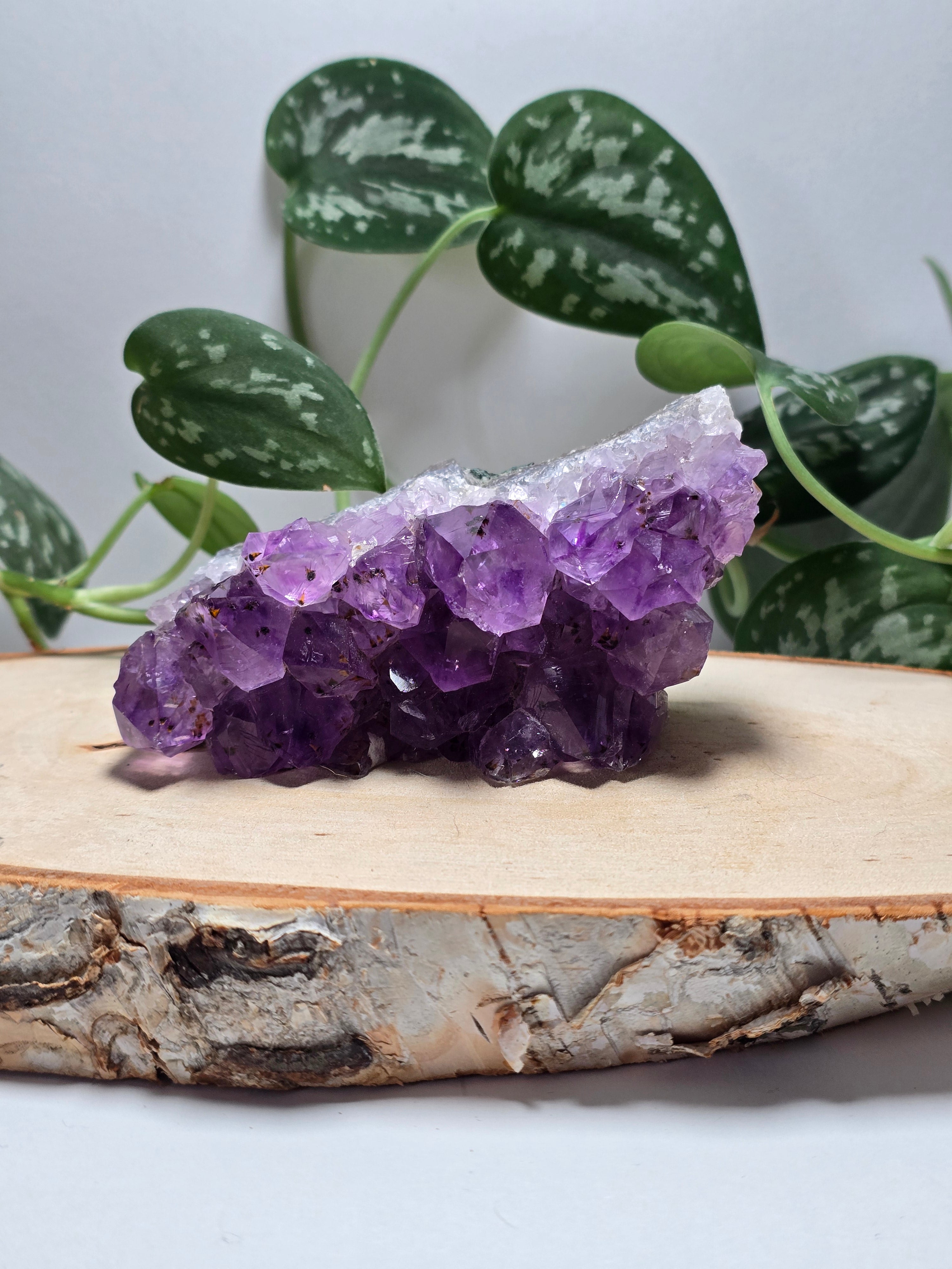 Amethyst Cutbases 💜