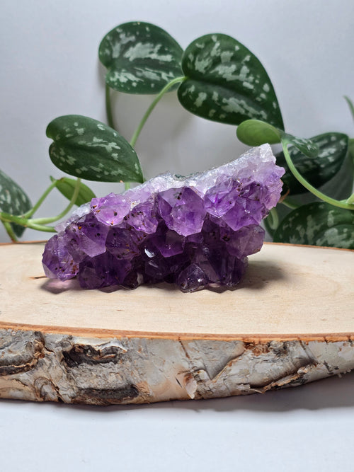 Amethyst Cutbases 💜