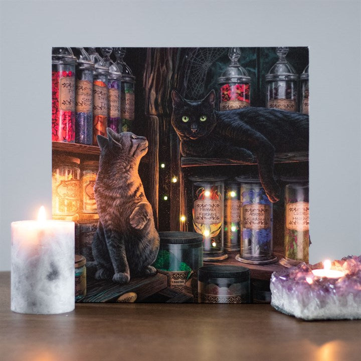 Leuchtendes LED Bild auf Leinwand von Lisa Parker ✨️ N19,90€