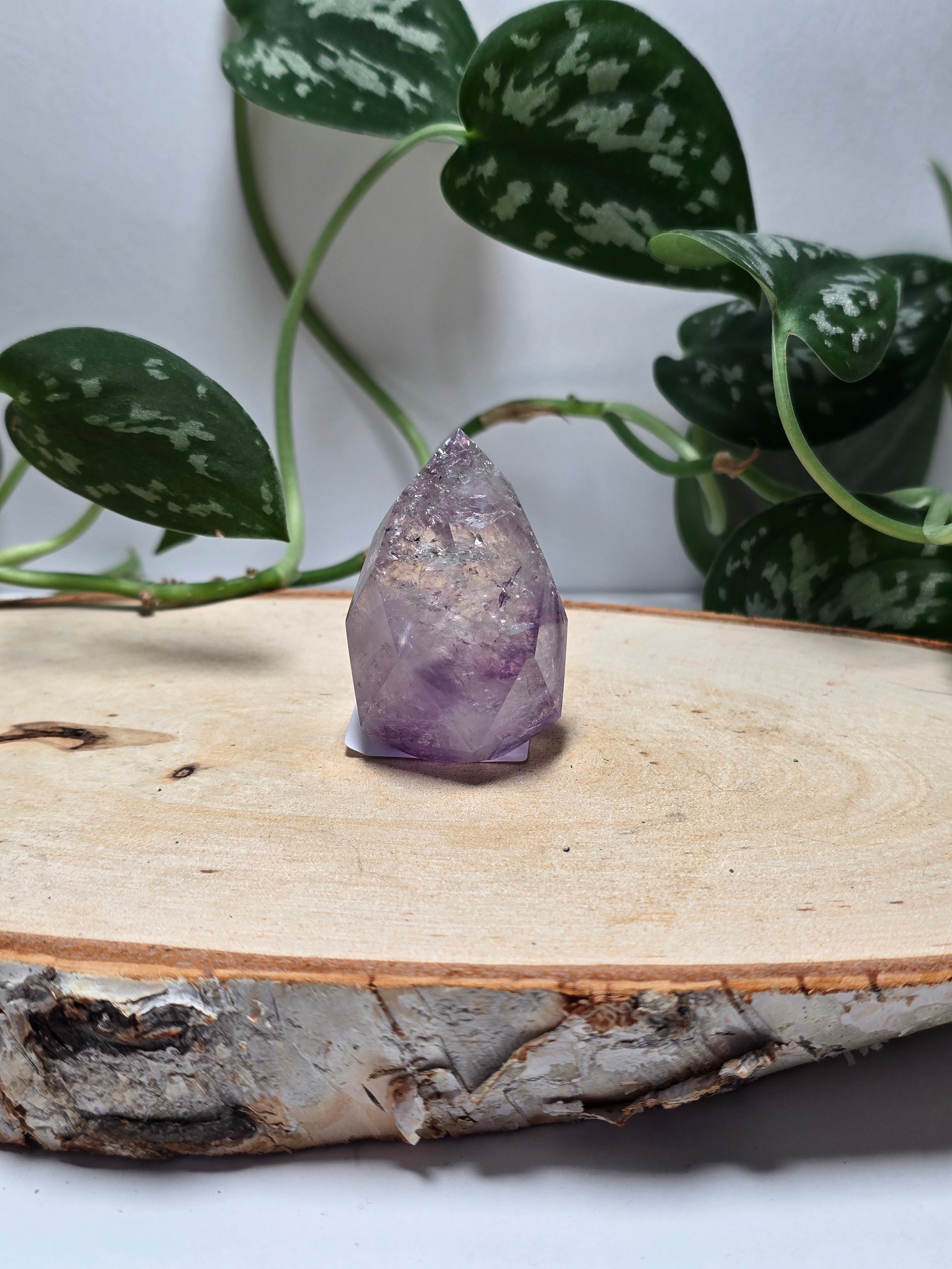 Facettierte Amethyst Spitzen 💜