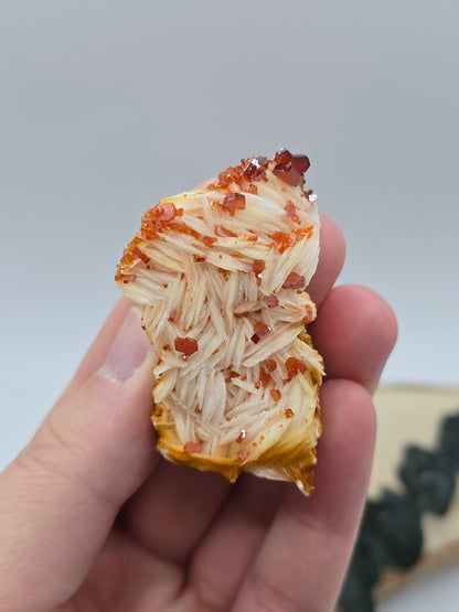 Vanadinit auf Baryt aus Marokko 🔥 21 – 68€