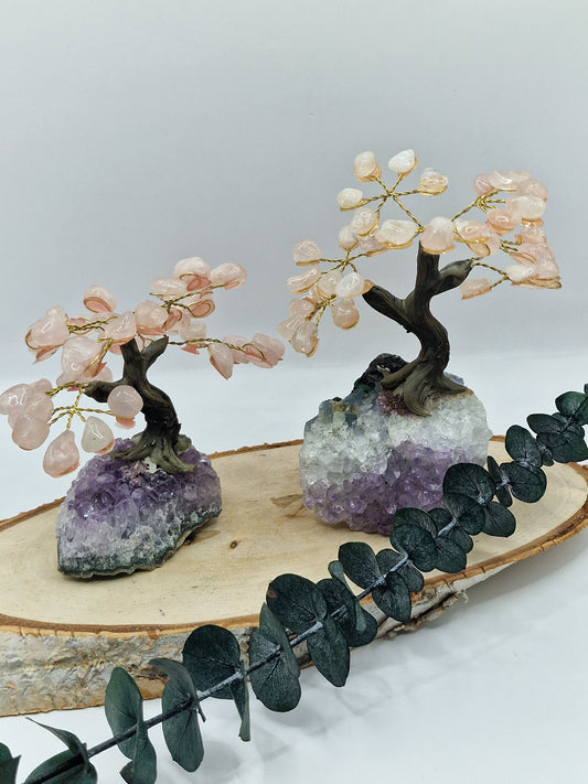 Rosenquarz Bonsai/Bäumchen auf Amethyst 💓