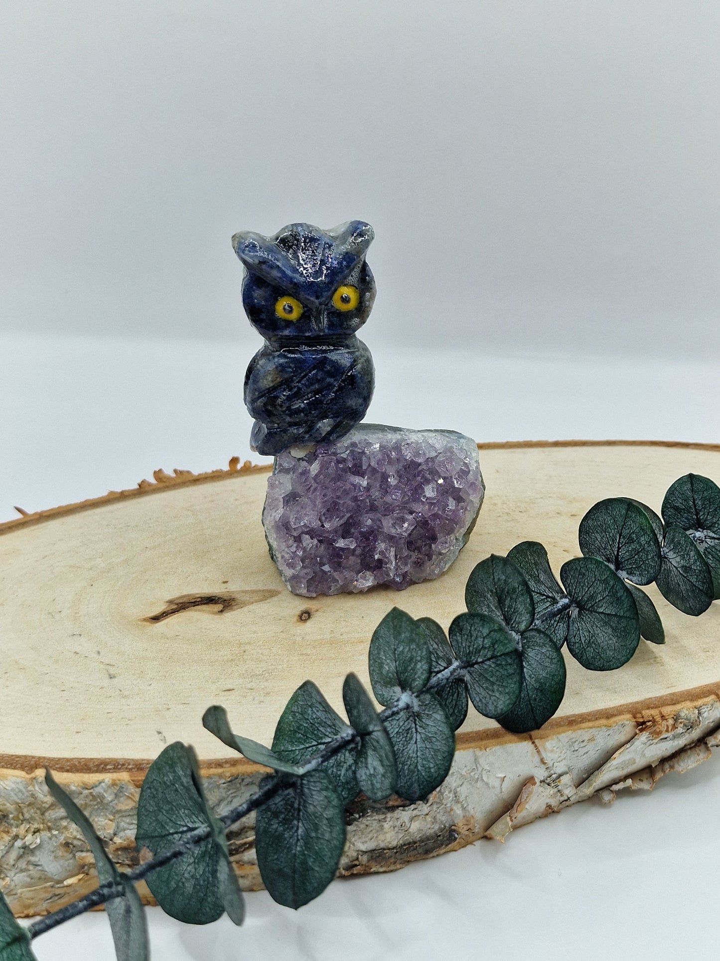 Eule auf Amethyst 🦉 FR16