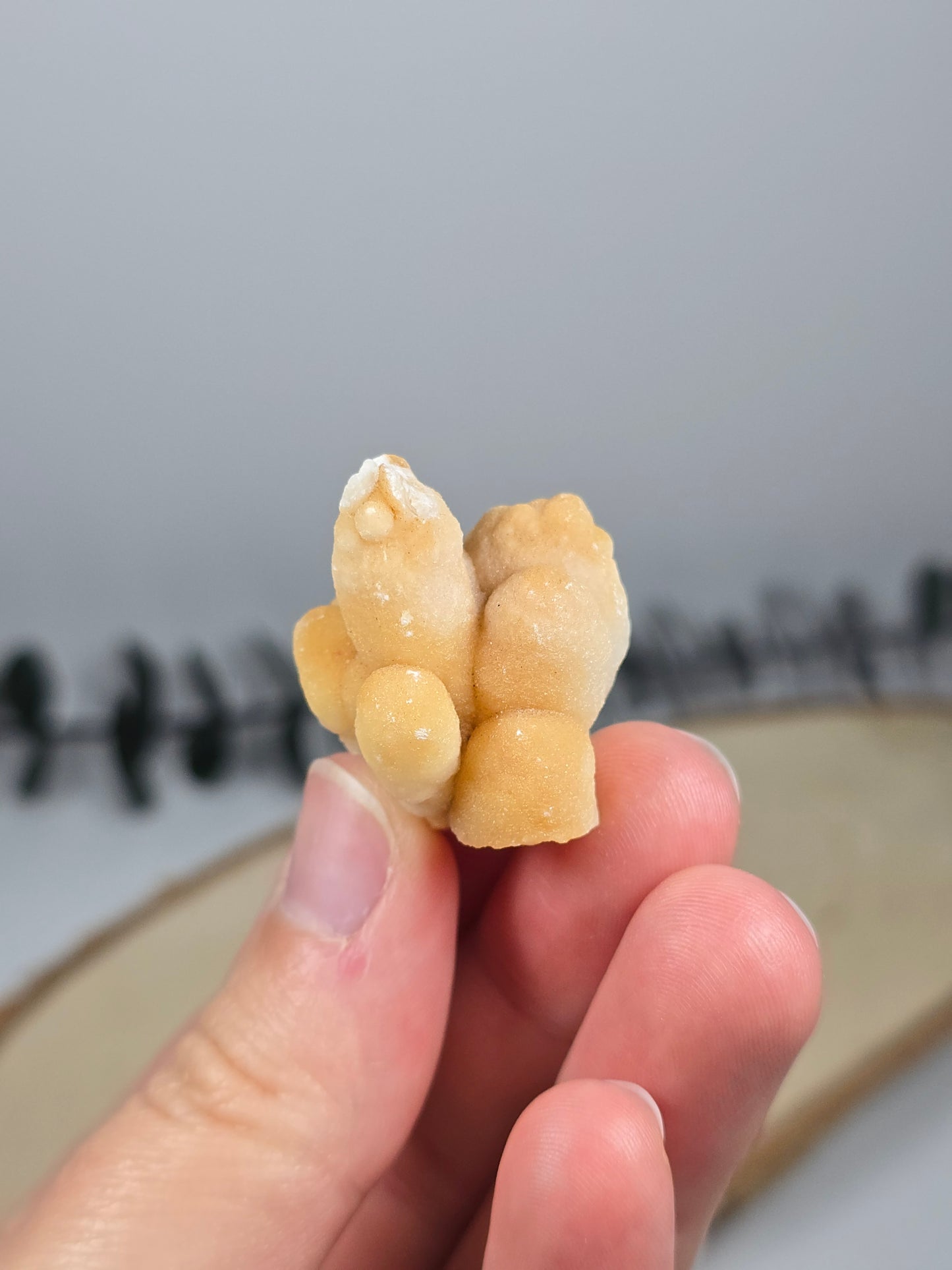 Calcit Stalaktit – Das Tropfenkunstwerk der Natur 🤍