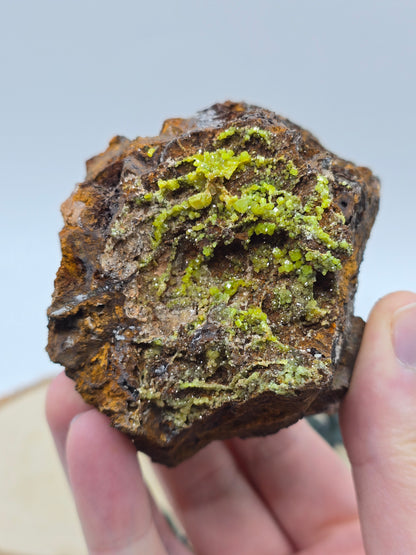 Pyromorphit 💚 PF88
