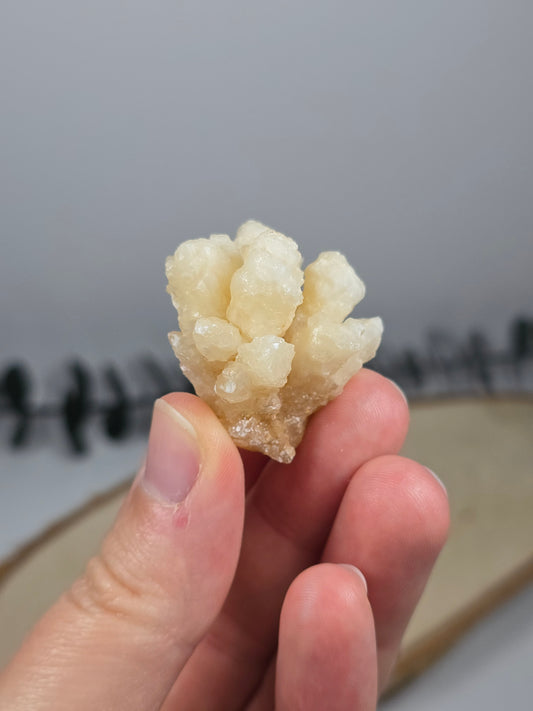 Calcit Stalaktit – Das Tropfenkunstwerk der Natur 🤍