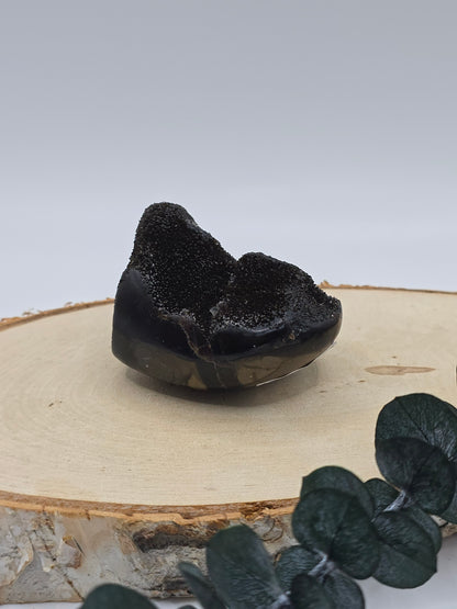 Septarie Freiform 🤎 LT14